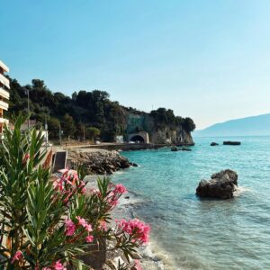 olga budko yl5yuojteto unsplash